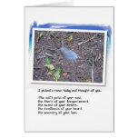 Blue Feather and Love Poem