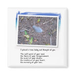 Blue Feather and Love Poem