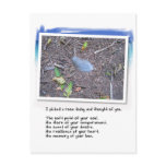 Blue Feather and Love Poem
