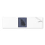 BLUE FERN BUMPER STICKER