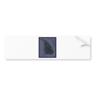BLUE FERN BUMPER STICKER by ninuno