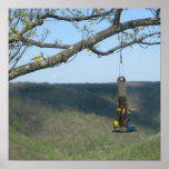 blue_finch posters