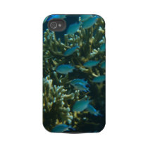 blue fish and coral iphone 4 tough cases