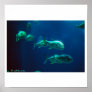 blue fish print