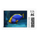 blue fish stamp
