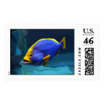 blue fish stamp