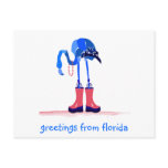 Blue Flamingo, Greetings from Florida Postcard