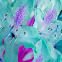 Blue Floral Photo Sculpture photo sculptures by WeddingsBest Blue Floral Photo Sculpture photo sculptures