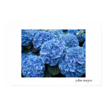 Blue Floral posters by johnmeyermedia Blue Floral posters