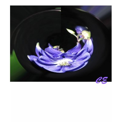 Blue FLower 3, CE Tshirts by Caroleann1947