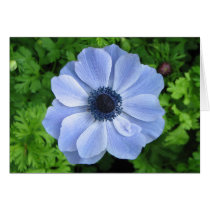 Blue Flower cards