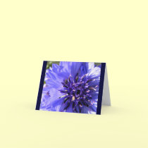 Blue Flower cards