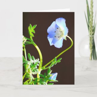 Blue Flower-Card card