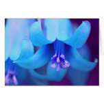 Blue Flower Card