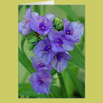 blue flower cluster cards