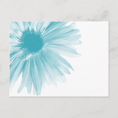 Designed Backgrounds on Blue Flower Design Background Post Card From Zazzle Com