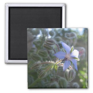 Blue Flower Haze Fridge Magnet