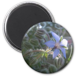 Blue Flower Haze Refrigerator Magnets
