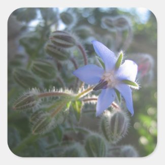 Blue Flower Haze Stickers