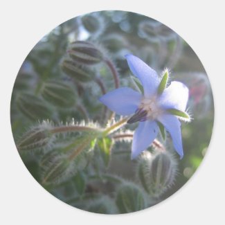 Blue Flower Haze Stickers
