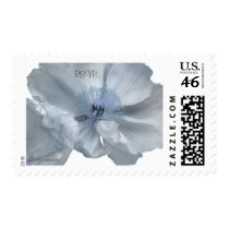 Blue Flower Iceland Poppy Custom Stamps by naturalilly Blue Flower Iceland Poppy Custom Stamps