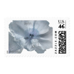 Blue Flower Iceland Poppy Custom Stamps