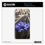Blue Flower in Grain Decal For iPhone 4S