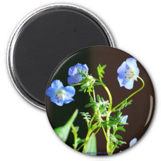 Blue Flower-Magnet magnet
