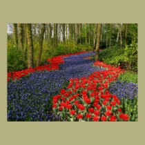 Blue Flower Path posters