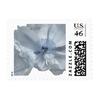 Blue Flower Poppy Small Postage Stamps stamp