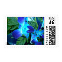 blue flower postage