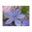 Blue flower Save the Date Postcard by MooseAnne Blue flower Save the Date Postcard
