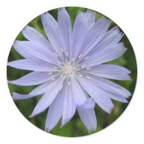 Blue flower sticker by bkang22 Blue flower sticker