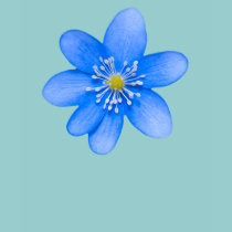 Blue flower T-shirt