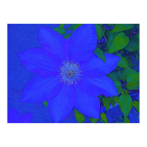 Blue Flower Urchin Print