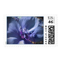 Blue Flower Wedding Postage