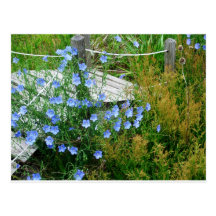 blue flowered bridge postcards