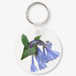 spring, blue, flower, bluebell, plant, nature,