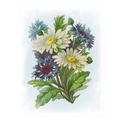 Blue Flowers and Daisies Poster by vintagegiftmall
