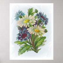 Blue Flowers and Daisies Poster