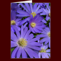 Blue Flowers Card Daisy Greeting Card Blank cards