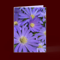 Blue Flowers Card Flowers Greeting Card Blank
