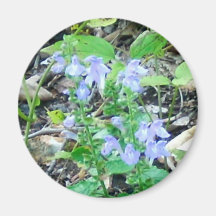blue flowers fridge magnet