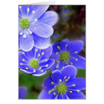 Blue Flowers-GReeting Card