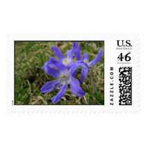 blue flowers postage by Minpics blue flowers postage