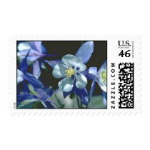 Blue Flowers Postage Stamp stamps