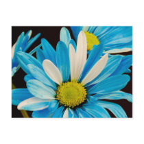 Blue Flowers Postcard postcards