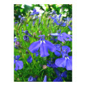 blue flowers posters