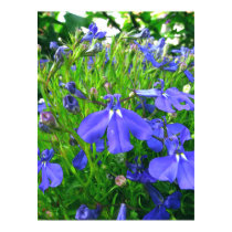 blue flowers posters