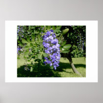 Blue flowers.. posters
